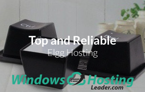 Top and Reliable ELGG Hosting