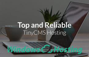 Top and Reliable TinyCMS Hosting